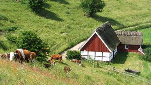 Backaleden passerar runt husknuten på Lindgrens länga, Havängs utemuseum. Foto: Jan Jonasson/Havängs museiförening