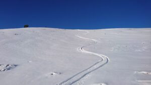 Slalom i Brösarps backar.